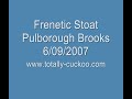 Frenetic stoat