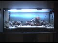 Charca intermareal cantabrica. Panoramica de mi acuario 2