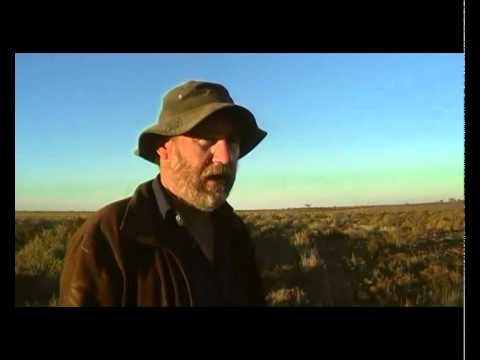 Controlling iceplant in saltbush