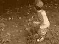 Picking Peaches