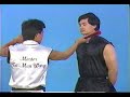 wong daatmau  tat mau wong / 王达谋    pressure point fan