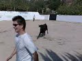 la capea de la tomillo