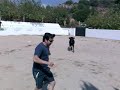 la capea de la tomillo
