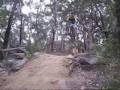 videos de sick mountain biking