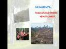 :: Pencemaran Alam Sekitar ::