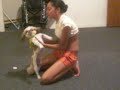 That Dog Bit me!... HiGH TeNSiON! That Dog Bit me!... HiGH TeNSiON!