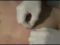 ashleys nipple piercing