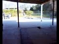 rampage skatepark fakie fs boardslide 180 out