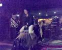 Rodeo Rodeo