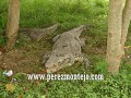 Guama, Cienaga de Zapata, Matanzas Cuba