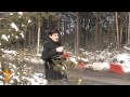 Жуковский против вырубки леса