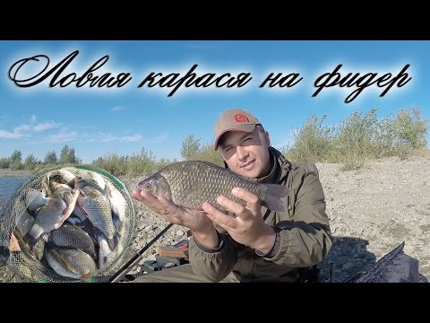 ловля карася на реке урал ловля карася на реке урал