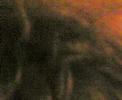 notte-rosa-2008-wwwmorgantinieu.html
