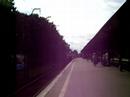 EW58-005 z 313
