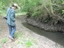 Fish rescue Fish rescue