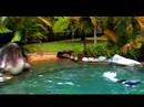 amazon-rainforest-lodge-part-1.html