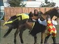 jousting.html