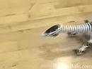 Roboreptile - Magazin de jucarii online - www.fan-jucarii.ro Roboreptile - Magazin de jucarii online - www.fan-jucarii.ro