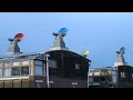 A short film looking at the challenges and opportunities facing cities.