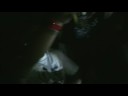 Snak The Rippah Ephin Boat Cruise 