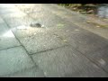 Unwetter in Moers-Mattheck (2)