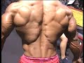 Bodybuilder David Henry back, chest - Guns 2002
