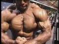 Bodybuilder David Henry back, chest - Guns 2002