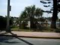 Driving-In-Miami