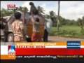 Theruvu Naya Unmooolana Sangam catching Stray dog in kerala.. 