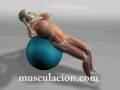 Abdominales 15