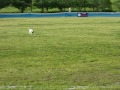 Click here to watch this video Ｋ９ 神戸市立農業公園 モカ スモールドッグ決勝☆ 2011/05/15