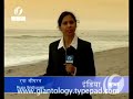 Monstruo Gigante Desconocido Encontrado Despues De Tsunami