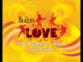 The Beatles - Yellow Sumbarine (Read Description)