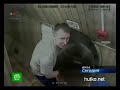 Видеоновость Эксперимент "Марс-500" подходит к концу | Шестеро участников вернулись домой