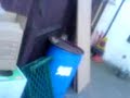 gravity v\