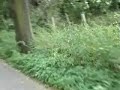 The Best Piaggio Typhoon in Czechowice-Dz.