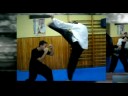 David Echevarria. kung fu tong bei quan