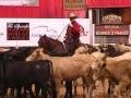 2009-NCHA-Super-Stak