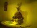 videos de the circle game.wmv