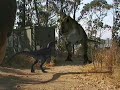 T-REX