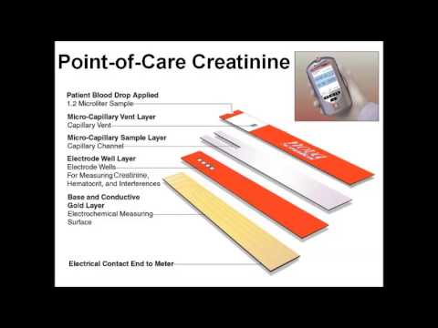 how to assess kidney function