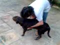 Churrasco Engenharia Mec�nica UFBA (3)