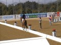 Leen Geysen