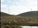 NRDC: Wind Power - A Global Warming Solution