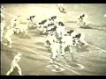 Huron 1976 Football