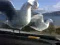 Bellerive beach Hobart Tasmanian Seagulls tripping.3gp Bellerive beach Hobart Tasmanian Seagulls tripping.3gp