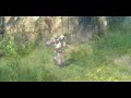 jian xia qin xuan 剑侠情缘 Manele-Gratis.net