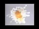Biology 101 Presentation Biology 101 Presentation