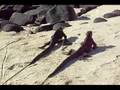 Leguanen op Galapagos