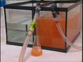 videos de EcoVu Receives OCRI LIfe Science Company of the Year Award